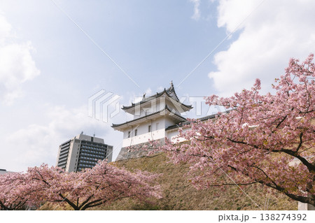 桜と日本の城 春に咲く花と伝統建築の風景 桜と日本の城 春に咲く花と伝統建築の風景 138274392