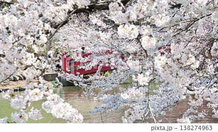 長野県臥竜公園　さくら満開の美しい風景 138274963
