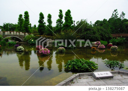 滋賀県草津市の「草津市立水生植物公園みずの森」では、紫陽花をはじめとする花や水鳥が生育していま。 滋賀県草津市の「草津市立水生植物公園みずの森」では、紫陽花をはじめとする花や水鳥が生育していま。 138275087