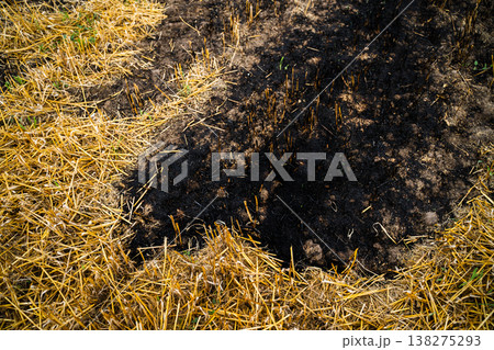 Agricultural field after harvest, showing a circular patch of burnt straw stubble and black ash on dry soil, representing farming practices and environmental concerns 138275293