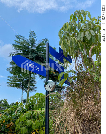 parking sign on a tree 138275803