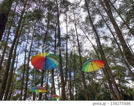 colorful umbrellas in the park colorful umbrellas in the park 138275886