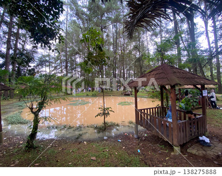 gazebo in the garden 138275888