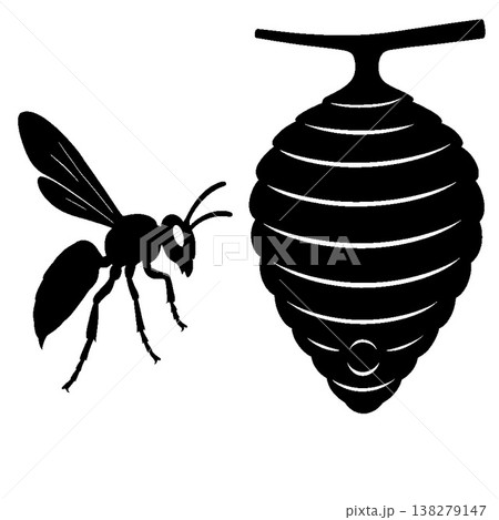 スズメバチと巣の静かな対峙 138279147