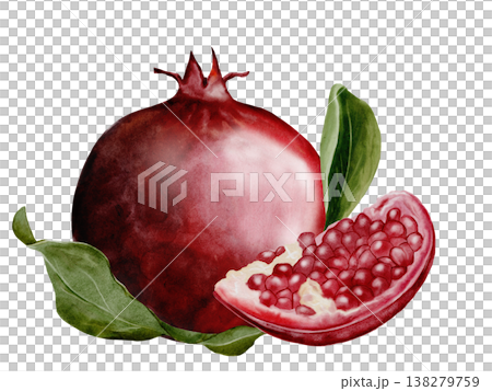 Pomegranate fruit watercolor composition. Realistic botanical illustration on a white background. Perfect for packaging design, organic cosmetics, invitations, and wellness branding. Handmade. Pomegranate fruit watercolor composition. Realistic botanical illustration on a white background. Perfect for packaging design, organic cosmetics, invitations, and wellness branding. Handmade. 138279759