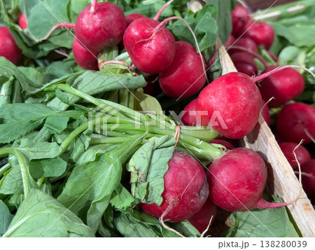 Close up radish bundle with leaves in crate showing texture and natural imperfections. Farm produce, organic farming, healthy diet ingredient, market retail and seasonal vegetable selection 138280039