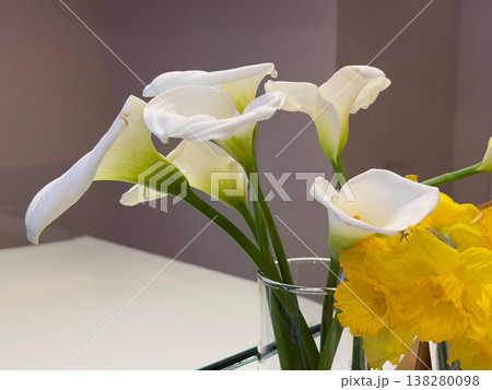 White calla lilies with yellow daffodil in glass vase on minimal interior surface. Floral arrangement, home decoration, modern interior styling and botanical elegance with natural light White calla lilies with yellow daffodil in glass vase on minimal interior surface. Floral arrangement, home decoration, modern interior styling and botanical elegance with natural light 138280098