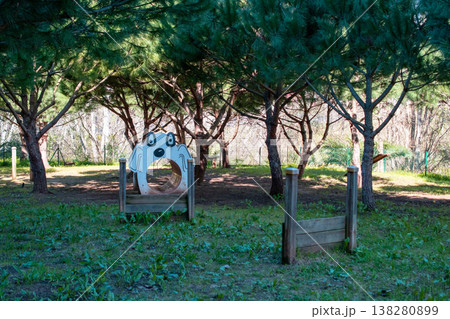 Outdoor Dog Playground Scene with Green Grass and Sunshine 138280899