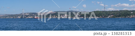 Experience the Beauty of the Bosphorus Strait With Istanbuls Skyline in the Background on a Sunny Day 138281313
