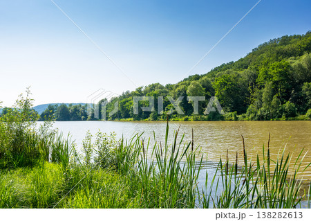 small lake near deciduous forest. wonderful landscape in summer. calm sunny forenoon in carpathian mountains. rustic scenery under clear azure sky. remote place of dubky lake for relaxation small lake near deciduous forest. wonderful landscape in summer. calm sunny forenoon in carpathian mountains. rustic scenery under clear azure sky. remote place of dubky lake for relaxation 138282613