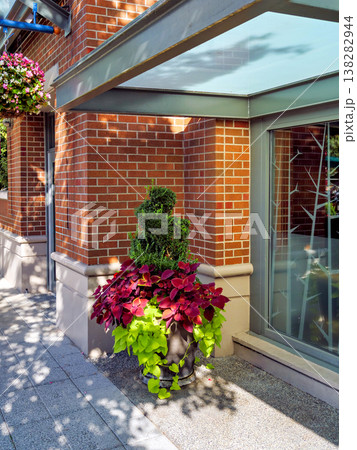 Big flower pod on a street in front of show window of a store Big flower pod on a street in front of show window of a store 138282944