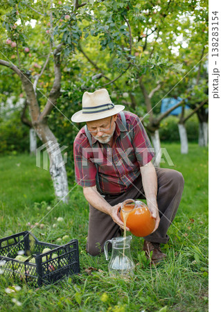 Farmer with straw hat holding big jar of apple juice standing in orchard in late summer time. Senior farmer pouring juice from jar to jug. Man wearing red plaid t-shirt and eyeglasses. 138283154