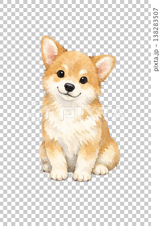柴犬水彩插畫，坐姿，正面，可愛的狗狗單幅圖。 138283507