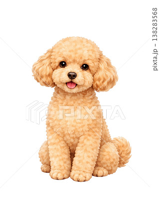トイプードル 水彩風イラスト おすわり 正面 かわいい犬の単体素材 138283568