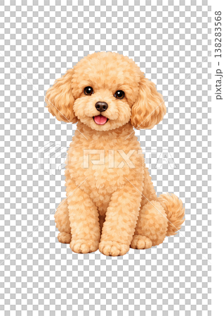 トイプードル 水彩風イラスト おすわり 正面 かわいい犬の単体素材 138283568