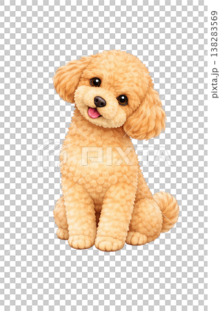 水彩風格的插圖，描繪了一隻可愛的玩具貴賓犬，它歪著頭坐著。 138283569