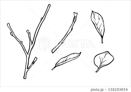 Collection Branches and leaves line art. Botanical line art illustrations Tree branches. Hand drawn line art set of branches with leaves. Black And White set of Illustration Outline leaf, branch Collection Branches and leaves line art. Botanical line art illustrations Tree branches. Hand drawn line art set of branches with leaves. Black And White set of Illustration Outline leaf, branch 138283654