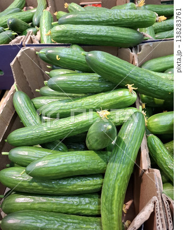 Greenhouse cucumbers are arranged neatly in boxes in a supermarket. Customers can find these fresh vegetables on sale as they shop for groceries. 138283761