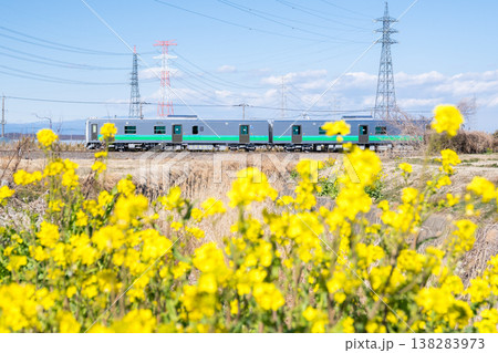 【八高線】菜の花の咲く沿線を走る気車 【八高線】菜の花の咲く沿線を走る気車 138283973