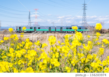 【八高線】菜の花の咲く沿線を走る気車 【八高線】菜の花の咲く沿線を走る気車 138283974