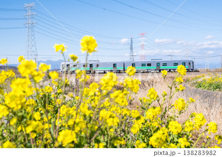 【八高線】菜の花の咲く沿線を走る気車 【八高線】菜の花の咲く沿線を走る気車 138283982