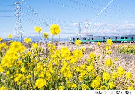 【八高線】菜の花の咲く沿線を走る気車 【八高線】菜の花の咲く沿線を走る気車 138283985