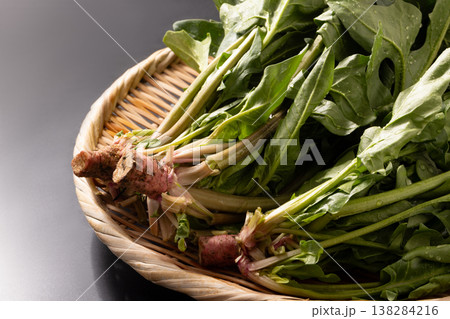 (山形県 天童市産)赤根ほうれん草(山形伝統野菜) (山形県 天童市産)赤根ほうれん草(山形伝統野菜) 138284216