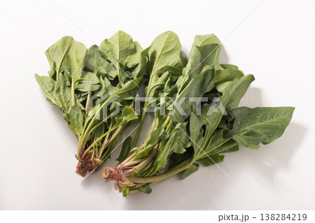 (山形県 天童市産)赤根ほうれん草(山形伝統野菜) (山形県 天童市産)赤根ほうれん草(山形伝統野菜) 138284219