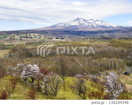 斜里岳山麓の春 斜里岳山麓の春 138284346