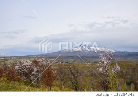 斜里岳山麓の春 斜里岳山麓の春 138284348