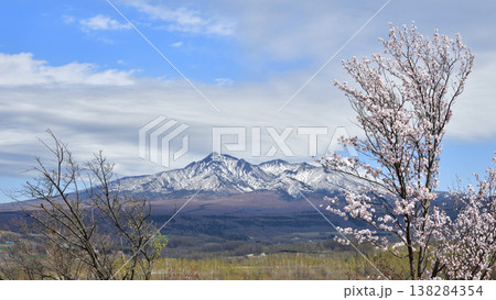 斜里岳山麓の春 斜里岳山麓の春 138284354