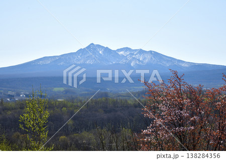 斜里岳山麓の春 斜里岳山麓の春 138284356
