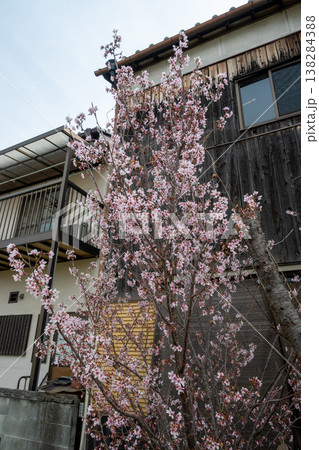 日本の岡山県倉敷市の児島と下津井の春の美しい風景 138284388