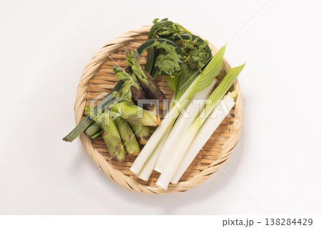 ［山形県産］青こごみ　たらの芽　うるい 138284429