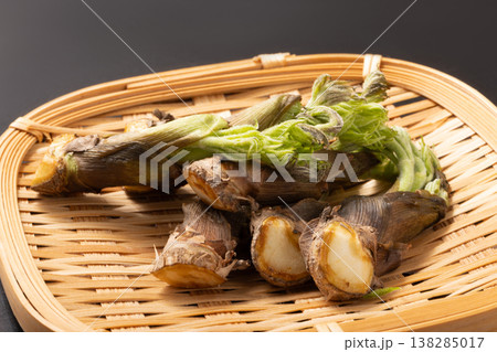 ［山形県産］たらの芽 138285017