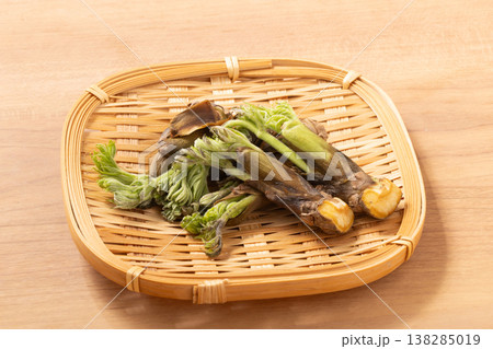 ［山形県産］たらの芽 138285019