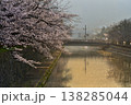 京都　岡崎　公園　疎水　疏水　そすい　桜　さくら　満開　朝　春　水面　反射　河川 138285044