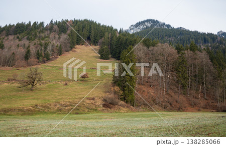 Grassy hillside and forested mountain slope in early spring 138285066