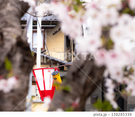 入学おめでとうの行燈がある穏やかな田舎の桜まつりの風景 138285339