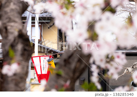 入学おめでとうの行燈がある穏やかな田舎の桜まつりの風景 入学おめでとうの行燈がある穏やかな田舎の桜まつりの風景 138285340