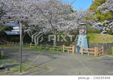 西尾市歴史公園の桜 138285408