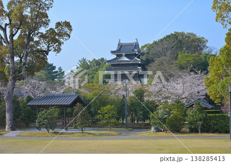 西尾市歴史公園の桜 西尾市歴史公園の桜 138285413