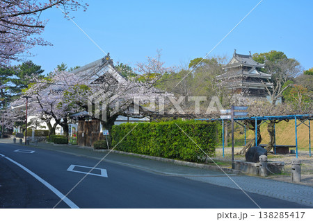 西尾市歴史公園の桜 西尾市歴史公園の桜 138285417
