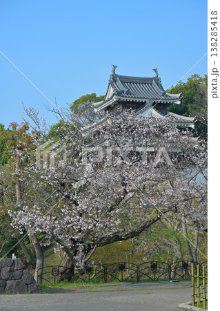 西尾市歴史公園の桜 西尾市歴史公園の桜 138285418