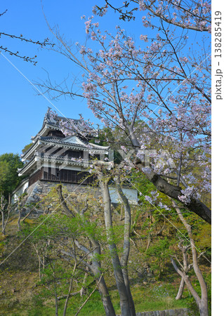 西尾市歴史公園の桜 138285419