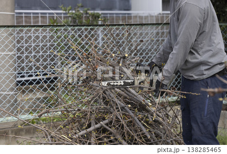 庭木の剪定をする植木屋さん 138285465