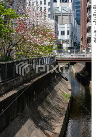 新緑と桜とビル街の風景 138285588