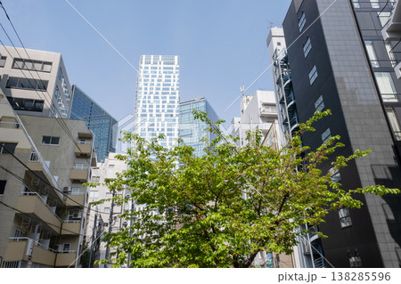 新緑と高層ビルを見上げるオフィス街の風景 新緑と高層ビルを見上げるオフィス街の風景 138285596