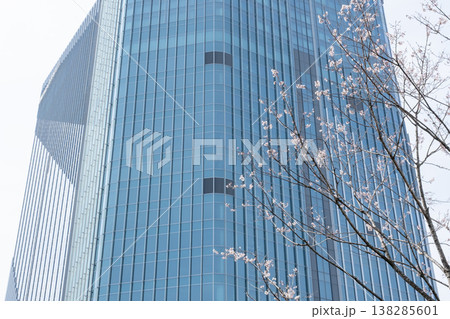 桜咲く高層ビルを見上げるオフィス街の風景 138285601