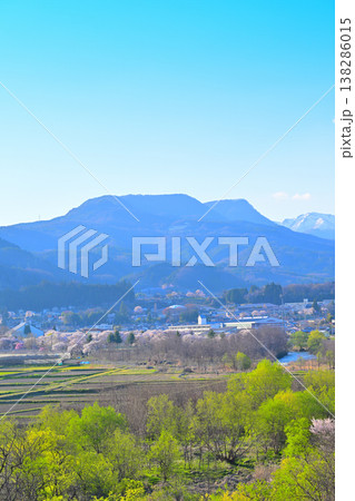 桜の季節 大峰山 月夜野大橋からの風景 桜の季節 大峰山 月夜野大橋からの風景 138286015